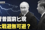 香港希望之聲