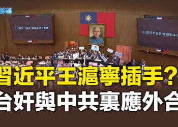 【時事解碼】司法擴權 發動國會政變！疑習近平王滬寧插手 裏應外合！惡意法案對國眾兩黨不利 中共受益！野百合太陽花齊聚2024 主播：魏凌