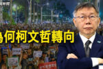 香港希望之聲