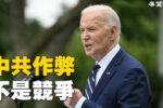香港希望之聲