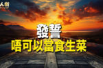 香港希望之聲 香港希望之聲