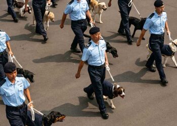 【香港要聞】日趨好戰獨裁 港府申入RCEP受阻；智障學校也難逃「國安」荼毒；受壓力辭任？英法官開腔