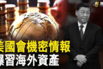 香港希望之聲
