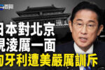 香港希望之聲