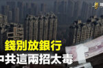香港希望之聲 香港希望之聲