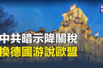 香港希望之聲