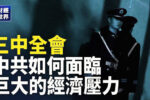 香港希望之聲
