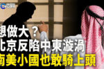 香港希望之聲