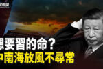 香港希望之聲
