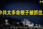 香港希望之聲