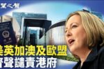 香港希望之聲