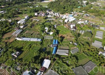 你每天都在吃代糖嗎_【廣結善緣千萬家(食療養生編 )第十八集 】