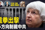 香港希望之聲 香港希望之聲