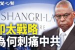 香港希望之聲