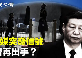 【兩岸三地】中共官媒有變化 習瞄準三中全會？新華社滲透 立委吁取消來台資格 主播：芬妮