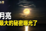 香港希望之聲