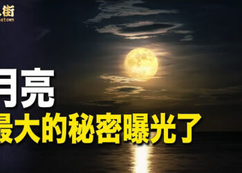 【唐人街】月球有很多不為人知的秘密 傳聞世界有許多權威人士都是蜥蜴人…