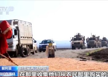 中共造謠美軍偷敘利亞小麥 網評人：爲烙大餅給政府獻禮？