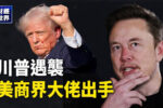 香港希望之聲