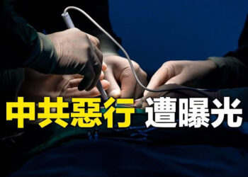 【新聞熱點】中共惡行遭曝光 數百人證據被提交美國；若與俄衝突升級 北約或接管中共在歐資產 主播：林詩明