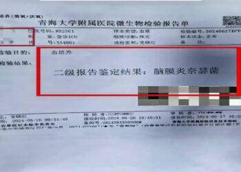 西寧兩中學生發病數小時亡 與五公經預言驚人吻合 醫學專家解讀原因