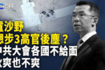 香港希望之聲