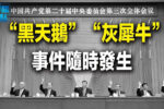 香港希望之聲 香港希望之聲