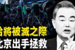 香港希望之聲