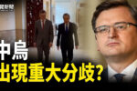 香港希望之聲