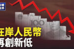 香港希望之聲 香港希望之聲