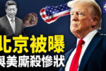 香港希望之聲