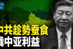 香港希望之聲 香港希望之聲
