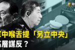 香港希望之聲 香港希望之聲