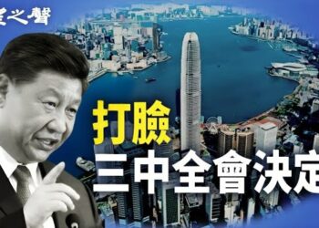【香港新聞】打臉三中全會決定 親政府人士指「民主實驗失敗」； 紅線何處？ 書展驚現「禁書之柱」