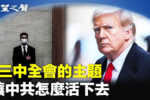 香港希望之聲