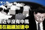 香港希望之聲