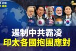 香港希望之聲