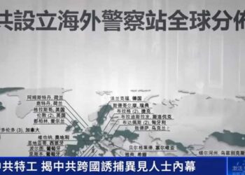 悲哀！六四民運人士淪為中共特工