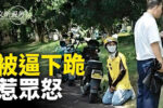 香港希望之聲