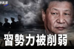 香港希望之聲 香港希望之聲