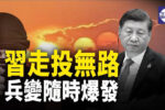 香港希望之聲 香港希望之聲
