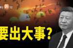 香港希望之聲