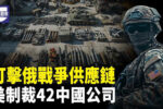 香港希望之聲