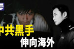香港希望之聲 香港希望之聲