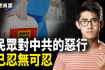 香港希望之聲 香港希望之聲