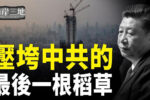 香港希望之聲 香港希望之聲