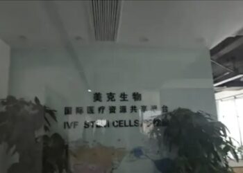 中國驚現地下代孕一條龍服務！1個娃75萬加20萬可選性別 手術時女孩慘叫聲響徹走廊