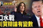 香港希望之聲 香港希望之聲