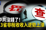 香港希望之聲