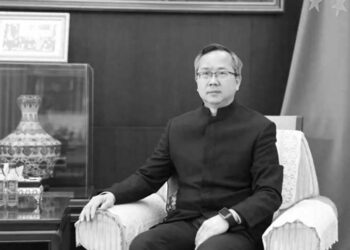 中共駐尼泊爾大使發佈幸災樂禍言論 惹眾怒